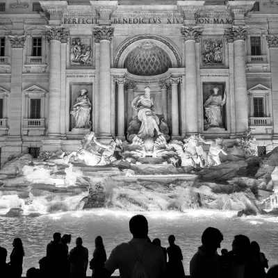 trevi